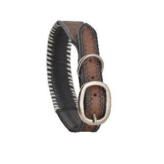 Oxy Daisy Hand-Tooled Leather Dog Collar Brown & White